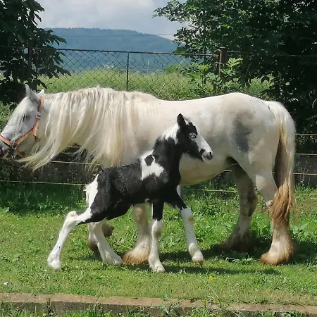 Statek Bezdědice Hostomice