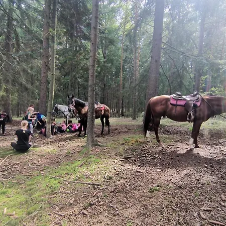 Statek Bezdědice * Hostomice