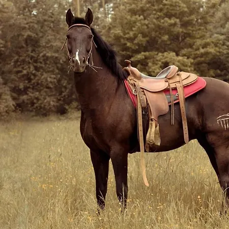 Statek Bezdedice شقة