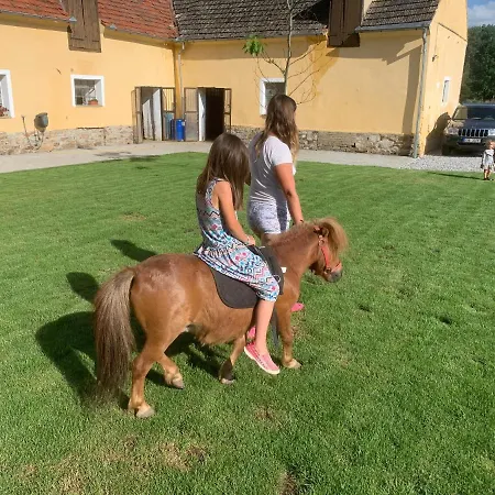 Statek Bezdědice Apartmán *