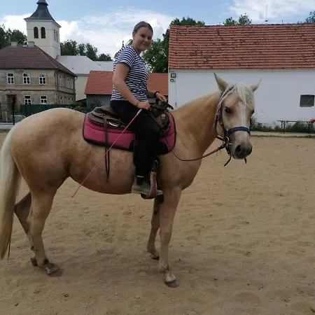 Statek Bezdedice Apartament Hostomice