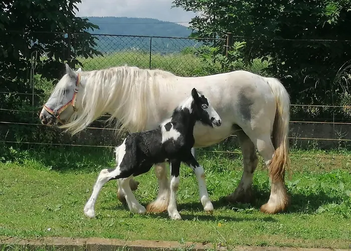 Statek Bezdedice Hostomice