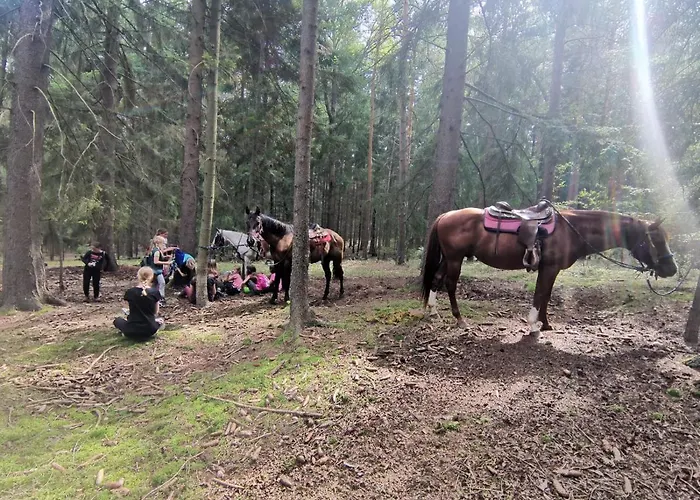 Statek Bezdedice * Hostomice