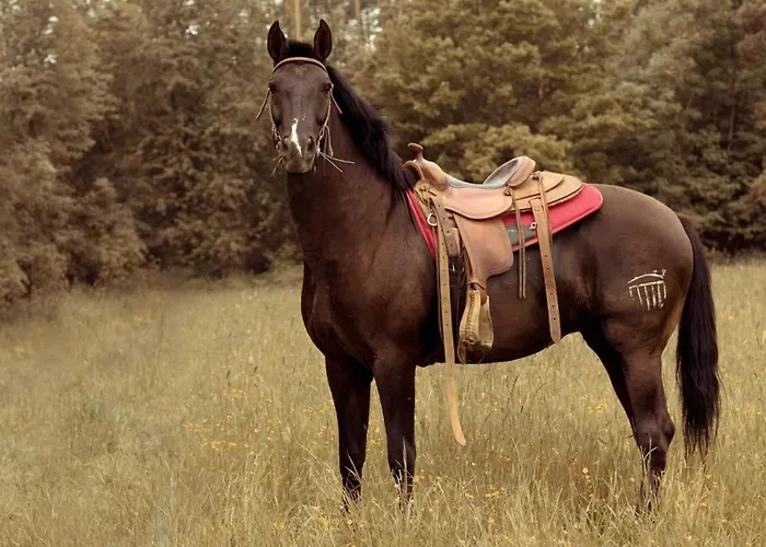 Statek Bezdedice Apartament