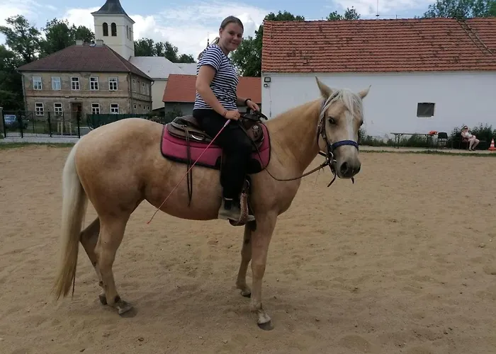 Statek Bezdedice Apartament Hostomice